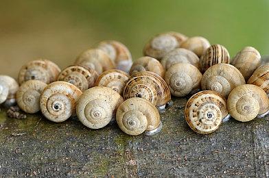 《星空》虽然只有30帧 但XSX的原始分辨率很低